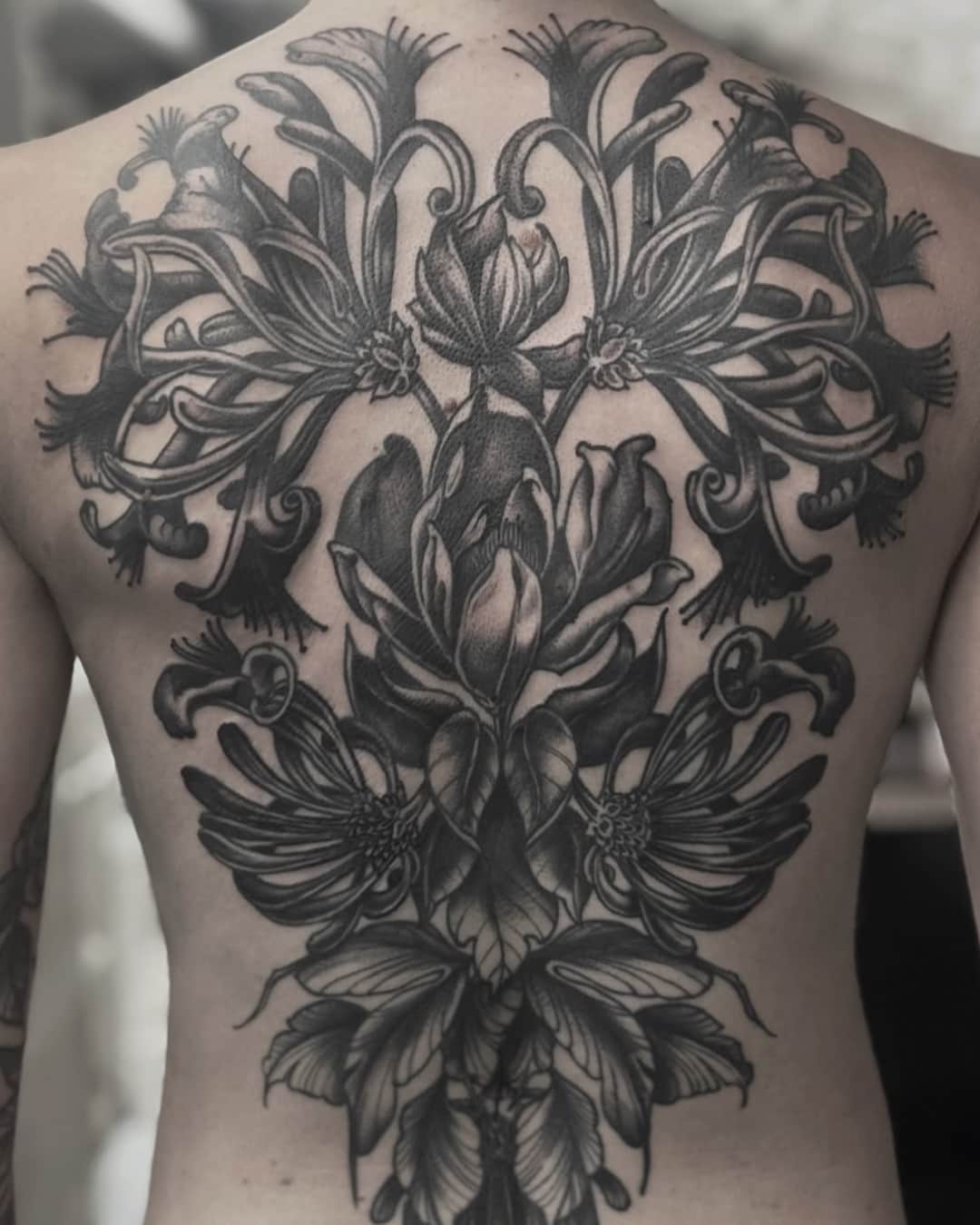 Blackwork, 1 portfolios