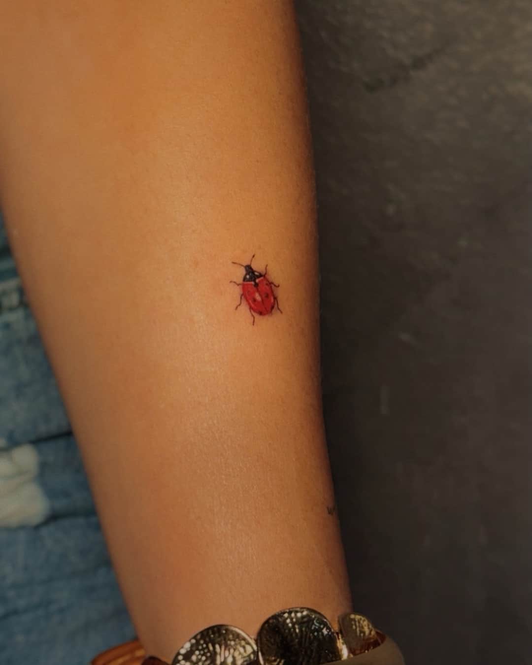 Small ladybug tattoo on the forearm, Realism style, by Luisa Duarte in Austin, TX