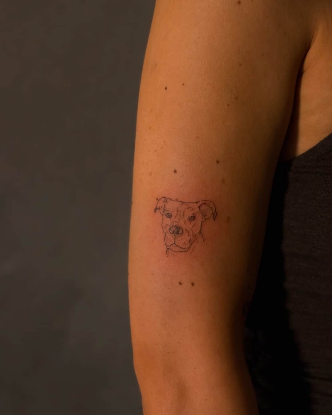 Small dog tattoo on the forearm, Realism style, by Luisa Duarte in Austin, TX